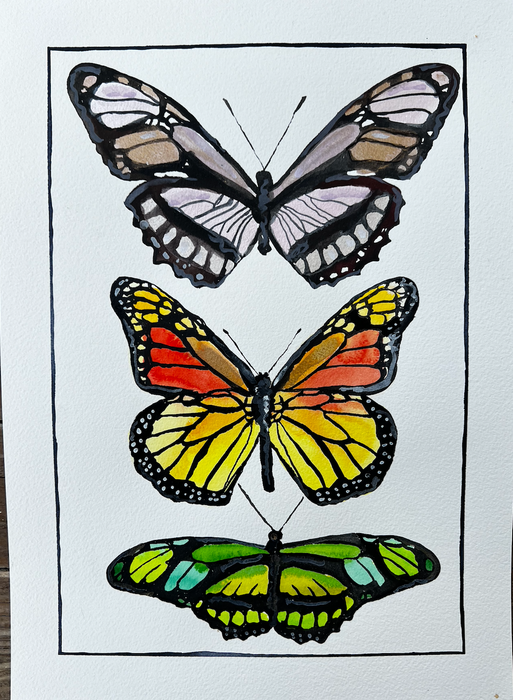 Butterfly Trio #2