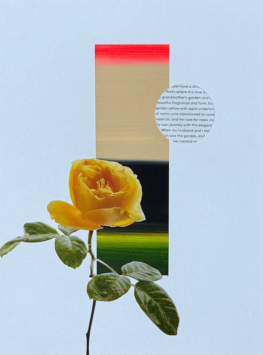 Grandmothers Roses