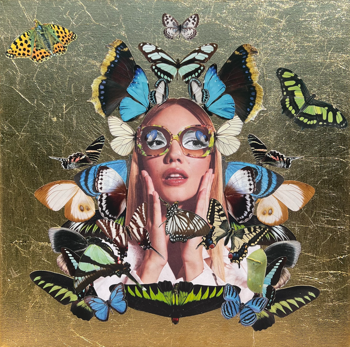 Krewe Metamorphosis